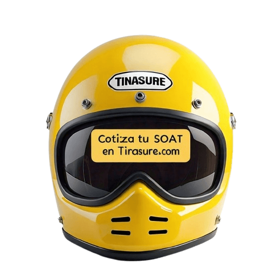 TINA icon